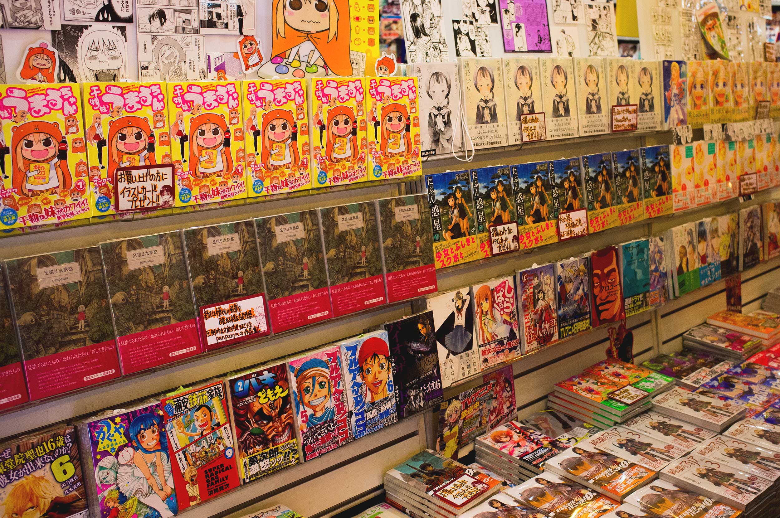 Geek Temples of Akihabara • 15 Days in Japan